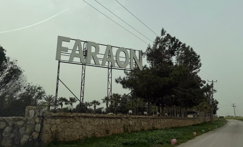 faraon night club