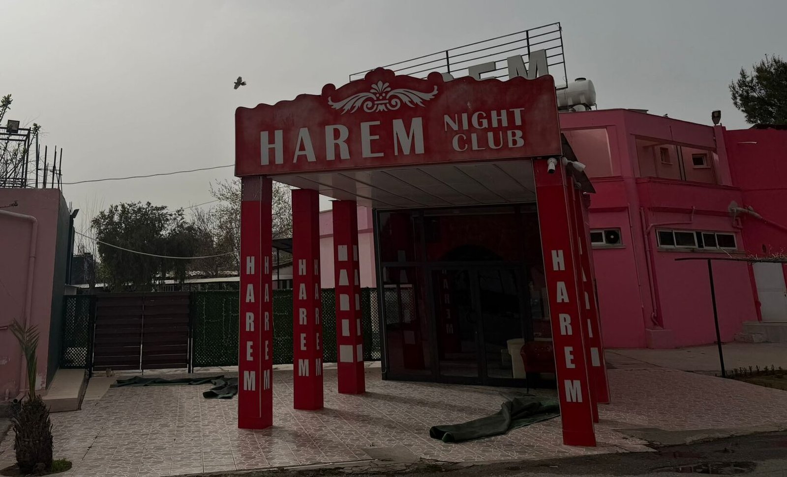 harem night club